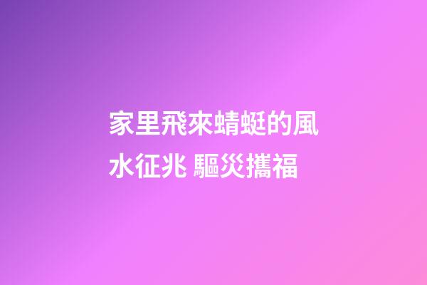 家里飛來蜻蜓的風水征兆 驅災攜福
